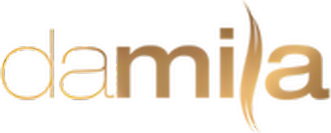 Damila.com logo