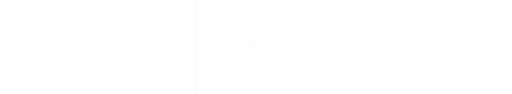 VION logo