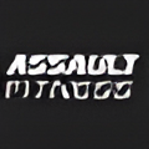 Assault Fitness logo