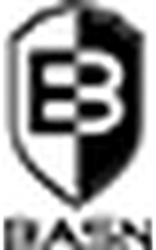 BASN AUDIO logo