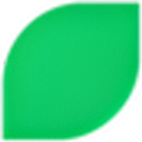 VIVA Finance, Inc. logo