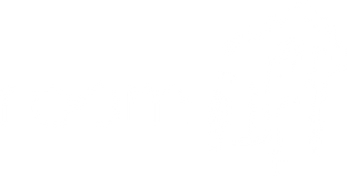 roomLift logo