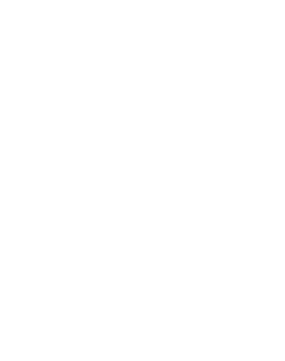 Evolving Textures logo