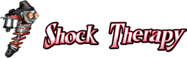 Shock Therapy logo