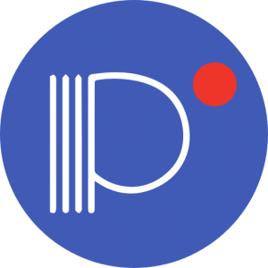 Panini logo