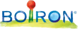 Boiron USA logo