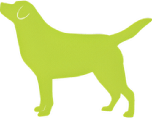 Dogs Naturally logo