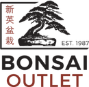 Bonsai Outlet logo