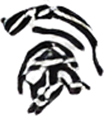 Tactical Sh*t logo