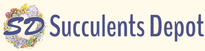 Succulents Depot logo