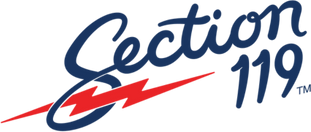 Section 119 logo
