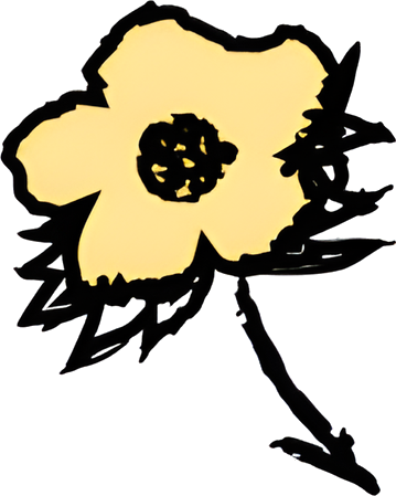 Kotn logo