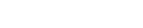 Zamst.us logo