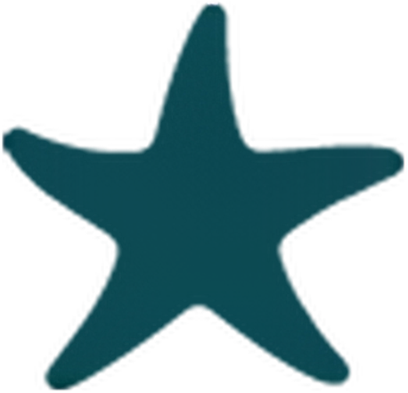 Southern Resorts Vacation Rentals logo