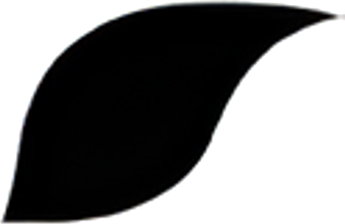 boscia logo