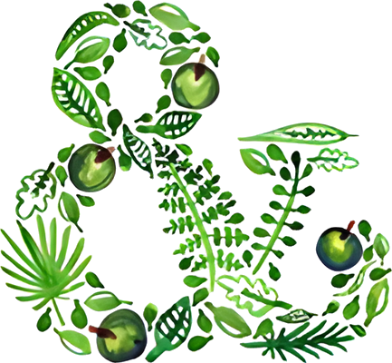 Baker and Olive logo