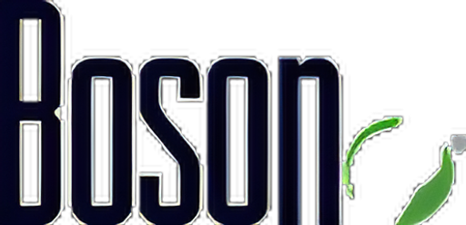 Boson logo