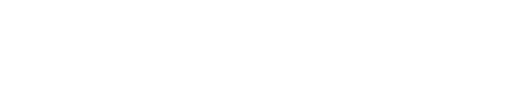 SOLE logo