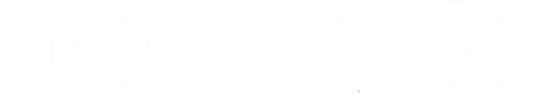 The Village Company logo