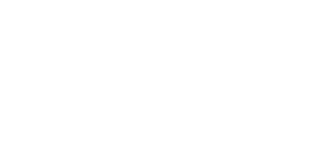 Health y Sol logo