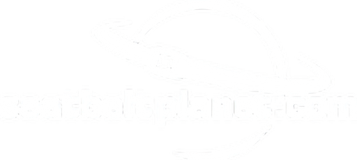 SeatbeltPlanet logo
