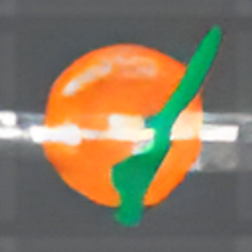 Rose-Hip Vital USA logo