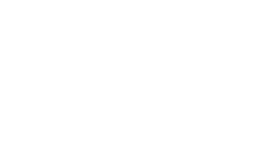 Sonny's BBQ logo