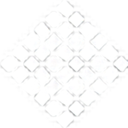 ANETIK logo