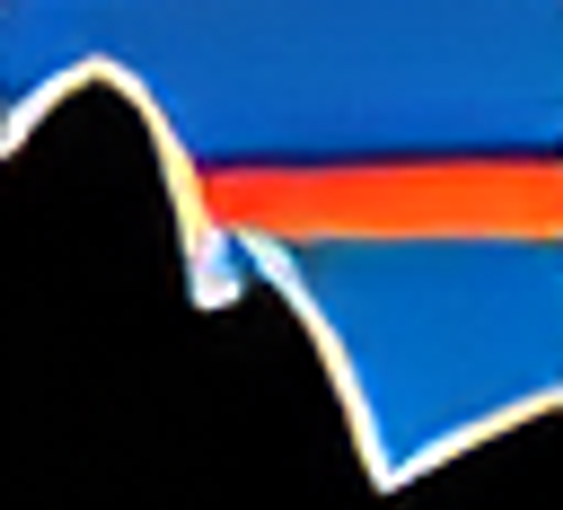 Patagonia Europe logo