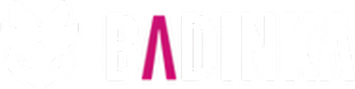 BADINKA logo