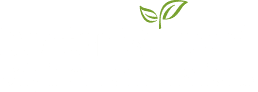 Dr. Wilson’s logo