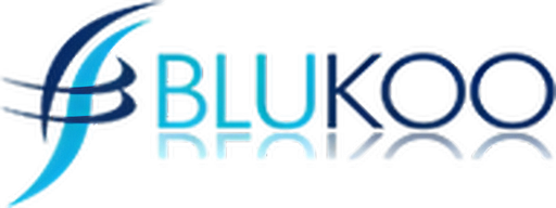 Blukoo logo
