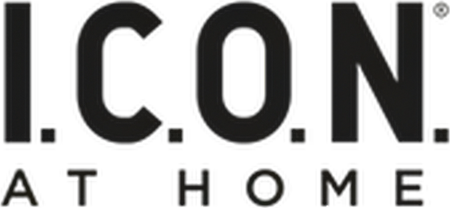 ICON PRODUCTS logo