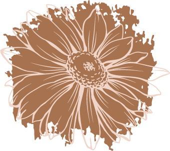 The Wooden Curator logo