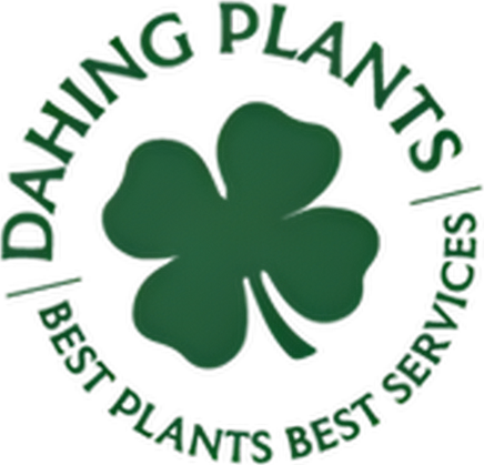 Dahing Plants logo