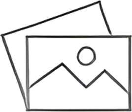 100X Equine, LLC logo