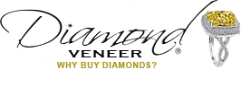 DiamondVeneer Fashion logo