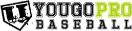You Go Pro Baseball logo