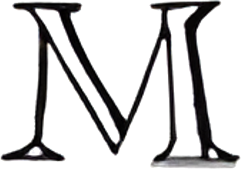 Ann Mashburn logo