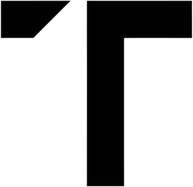 Touch of Modern logo