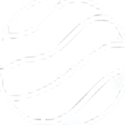 ZenMarket logo