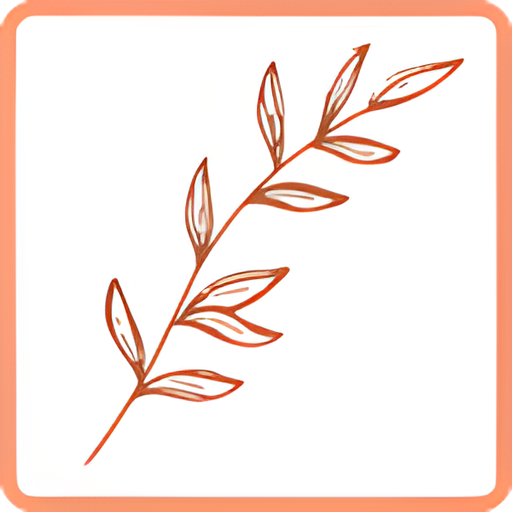 Boho Dress Official logo