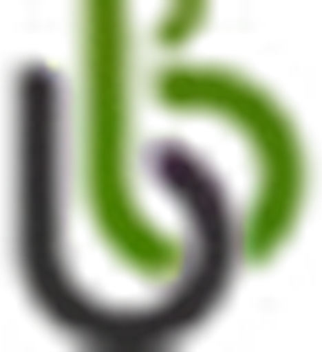 bamboo bamboo logo