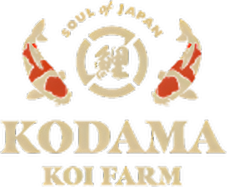 Kodama Koi Farm logo