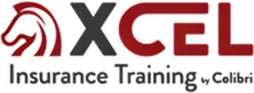 XCEL Solutions logo