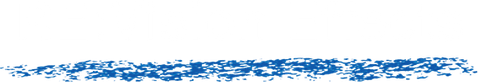 RE:Vision Effects logo