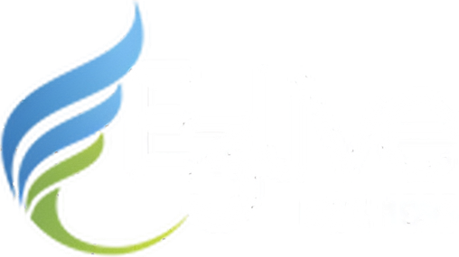 E3Live logo