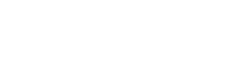 BOSS StrongBox logo