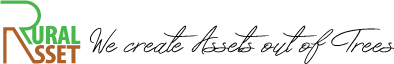 Rural Asset logo
