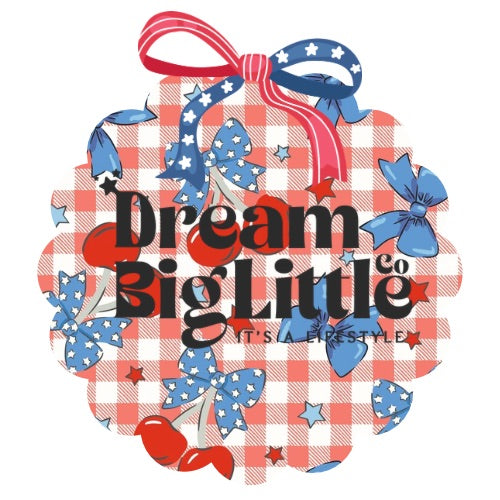 DREAM BIG LITTLE CO logo